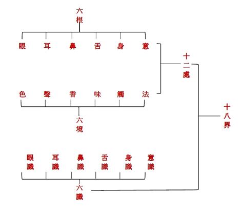 十二處意思|十二處 【佛學次第統編】—— 佛教詞典